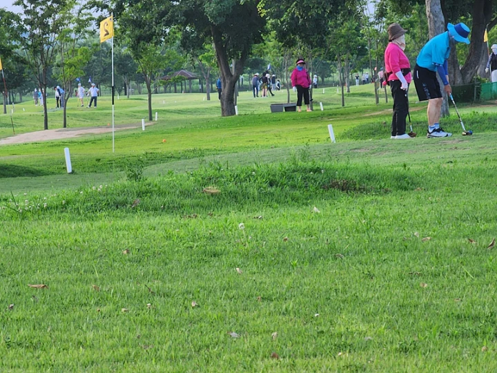 파크골프