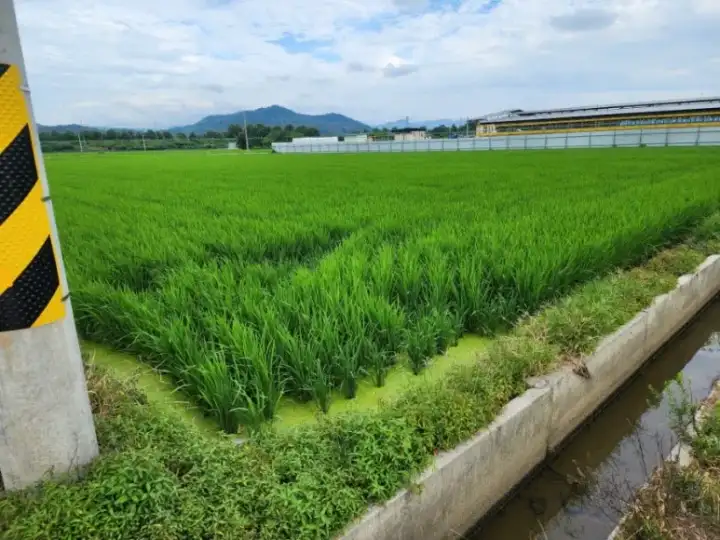 농지은행 8년 이상 위탁 농지 매각 시 세제 혜택 완벽 가이드