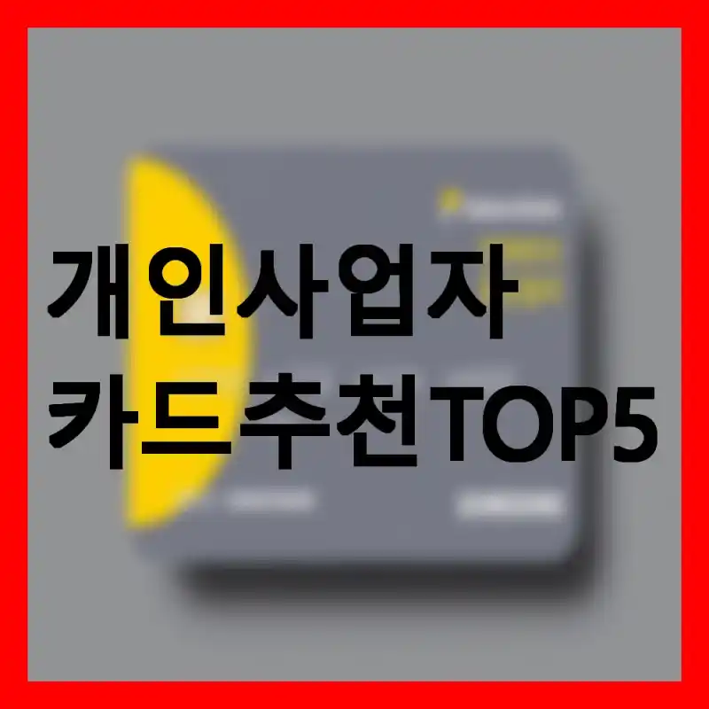 ๊ฐ์ธ์ฌ์
์ ์นด๋ ์ถ์ฒ TOP5