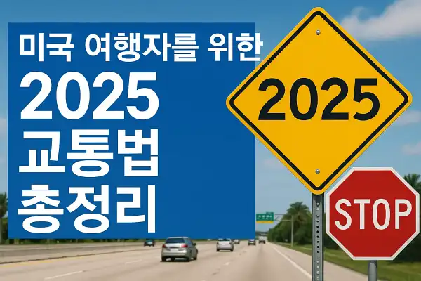 미국 여행자를 위한 2025 교통법 총정리